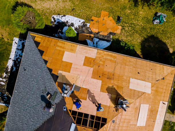 Best Roof Replacement Cost  in Laguna Heights, TX