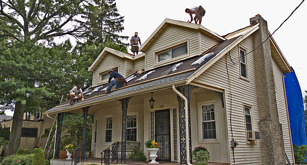 Best Storm Damage Roof Repair  in Laguna Heights, TX